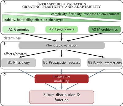 Climate Change Impacts on Seagrass Meadows and Macroalgal Forests: An Integrative Perspective on Acclimation and Adaptation Potential